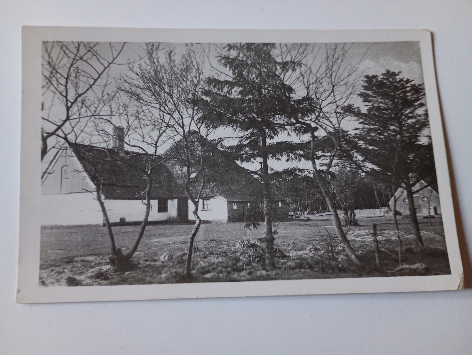 Texel Boerderij Hoog Koog, Ophalen of Verzenden, 1940 tot 1960, Ongelopen, Waddeneilanden