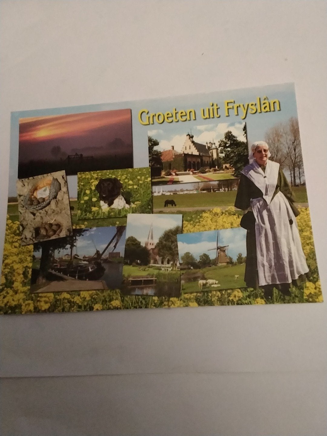 Ansichtkaart Groeten uit Fryslân - Gelopen, Ophalen of Verzenden, 1980 tot heden, Gelopen, Friesland