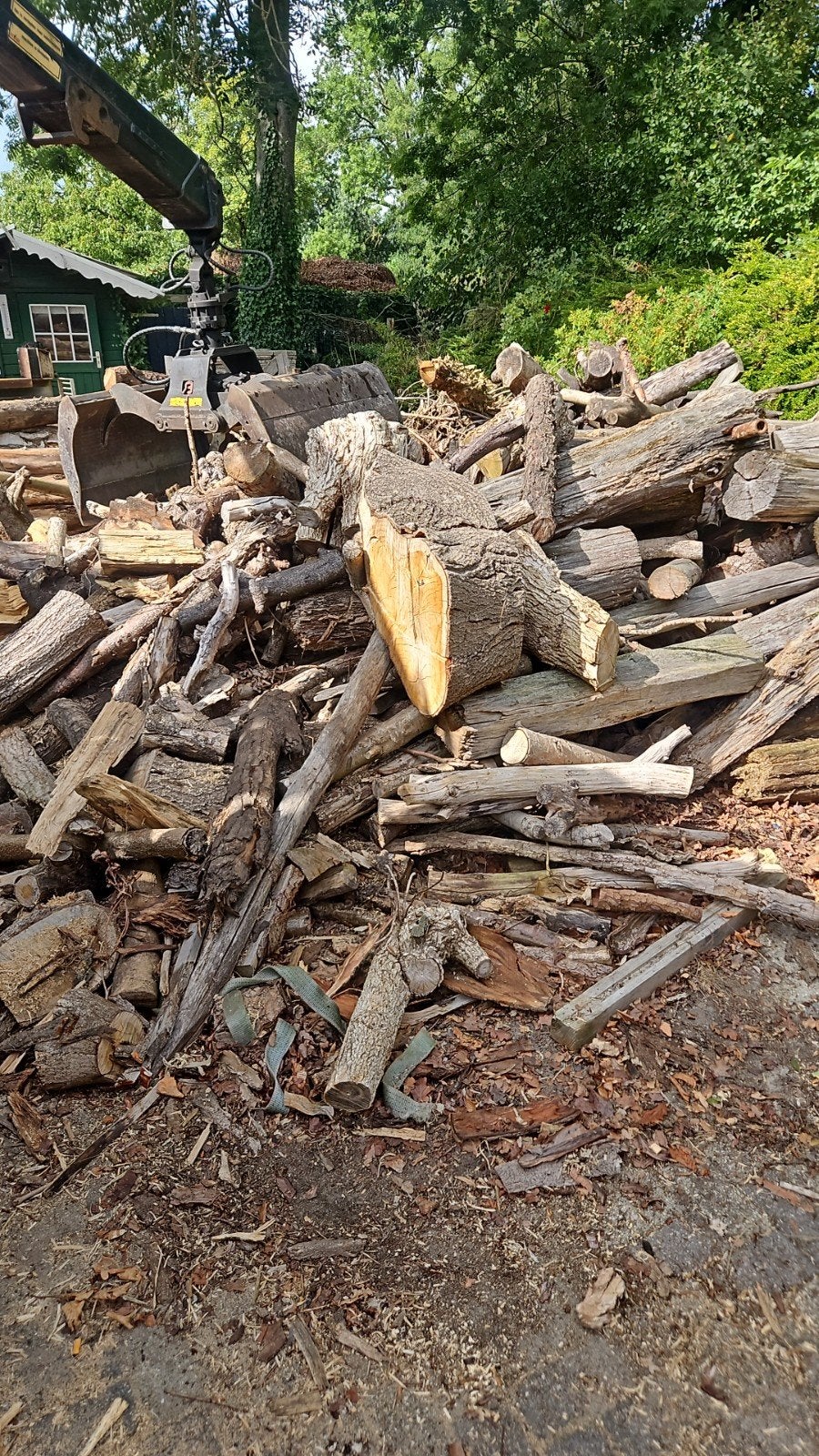 Diverse houtsoorten: Stammen en takken voor brandhout, 6 m³ of meer, Ophalen, Overige houtsoorten, Stammen