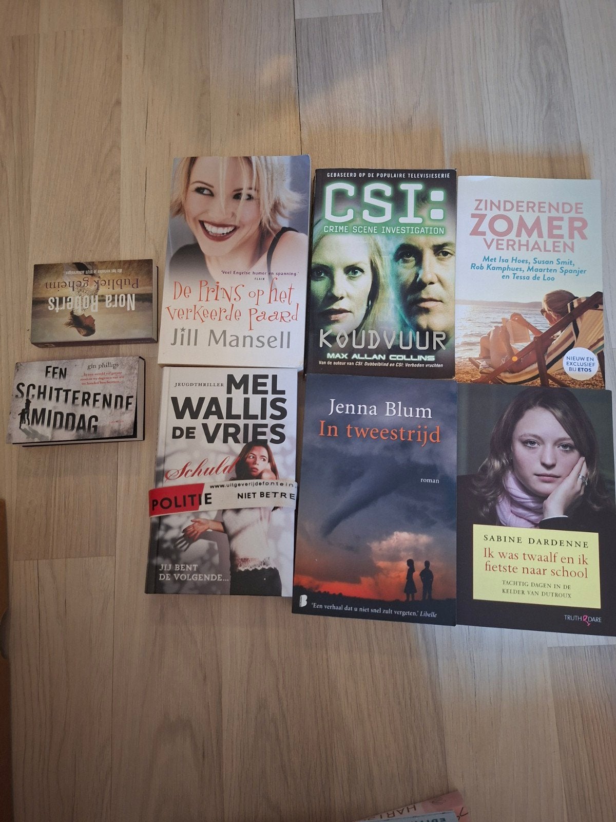 Diverse boeken: romans, thrillers en verhalenbundels, Ophalen of Verzenden, Gelezen, Diverse auteurs, Nederland