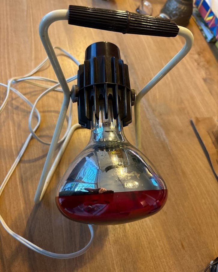 Philips Infraphil 150 Watt Infraroodlamp, Ophalen