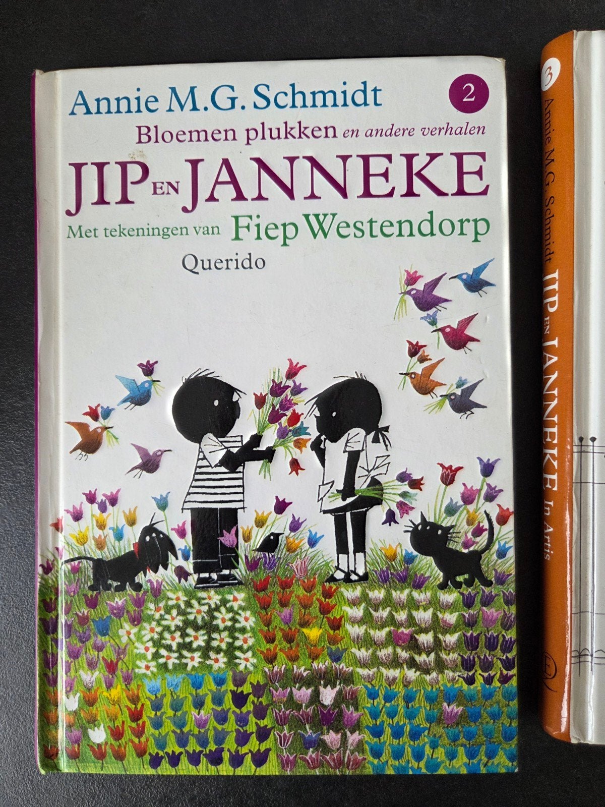 Jip en Janneke boeken, Boeken, Ophalen of Verzenden, Zo goed als nieuw, Annie M.G. Schmidt, Fictie algemeen