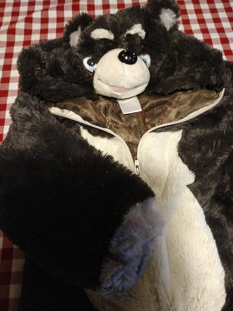 Panda, koala warm pak van de efteling voor carnaval o, Ophalen of Verzenden, Zo goed als nieuw, 104 of kleiner, Jongen of Meisje