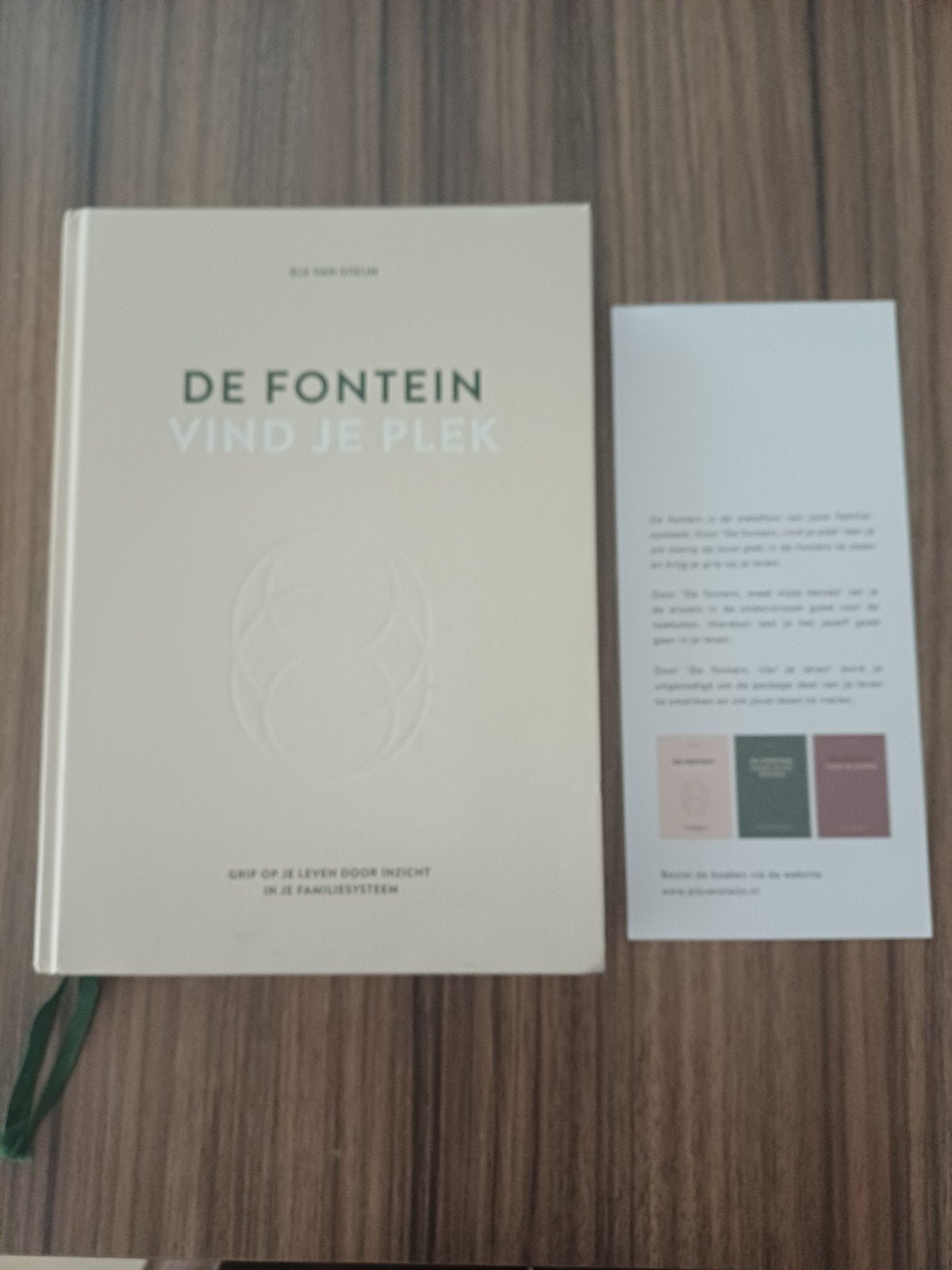 Els van Steijn - De fontein, vind je plek, Ophalen of Verzenden, Els van Steijn, Ontwikkelingspsychologie, Zo goed als nieuw