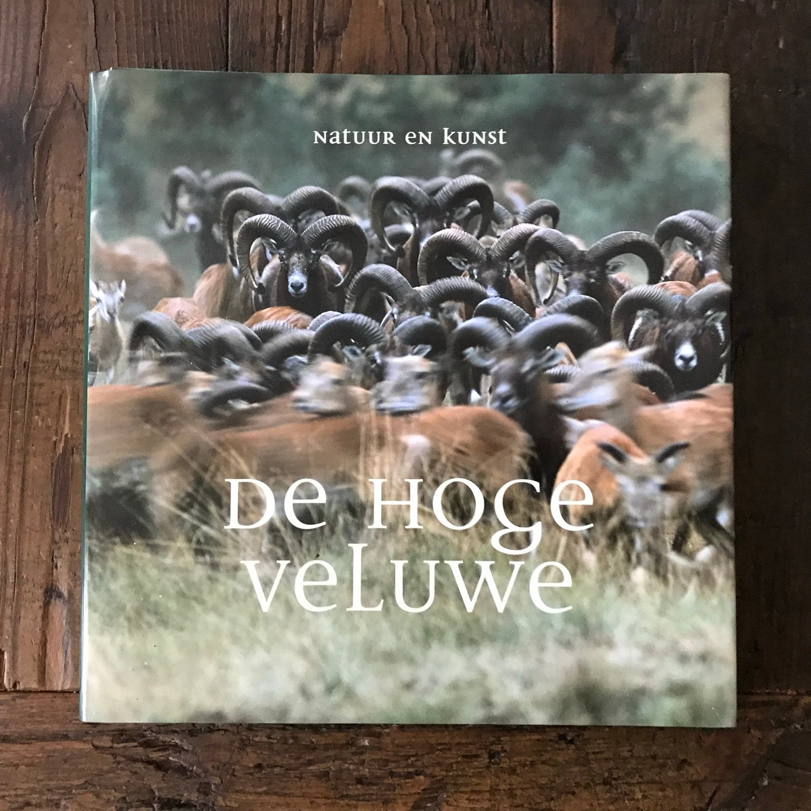 De Hoge Veluwe: Natuur en Kunst in het Nationale Park, Ophalen of Verzenden, Zo goed als nieuw, Wandel- of Recreatiegebieden