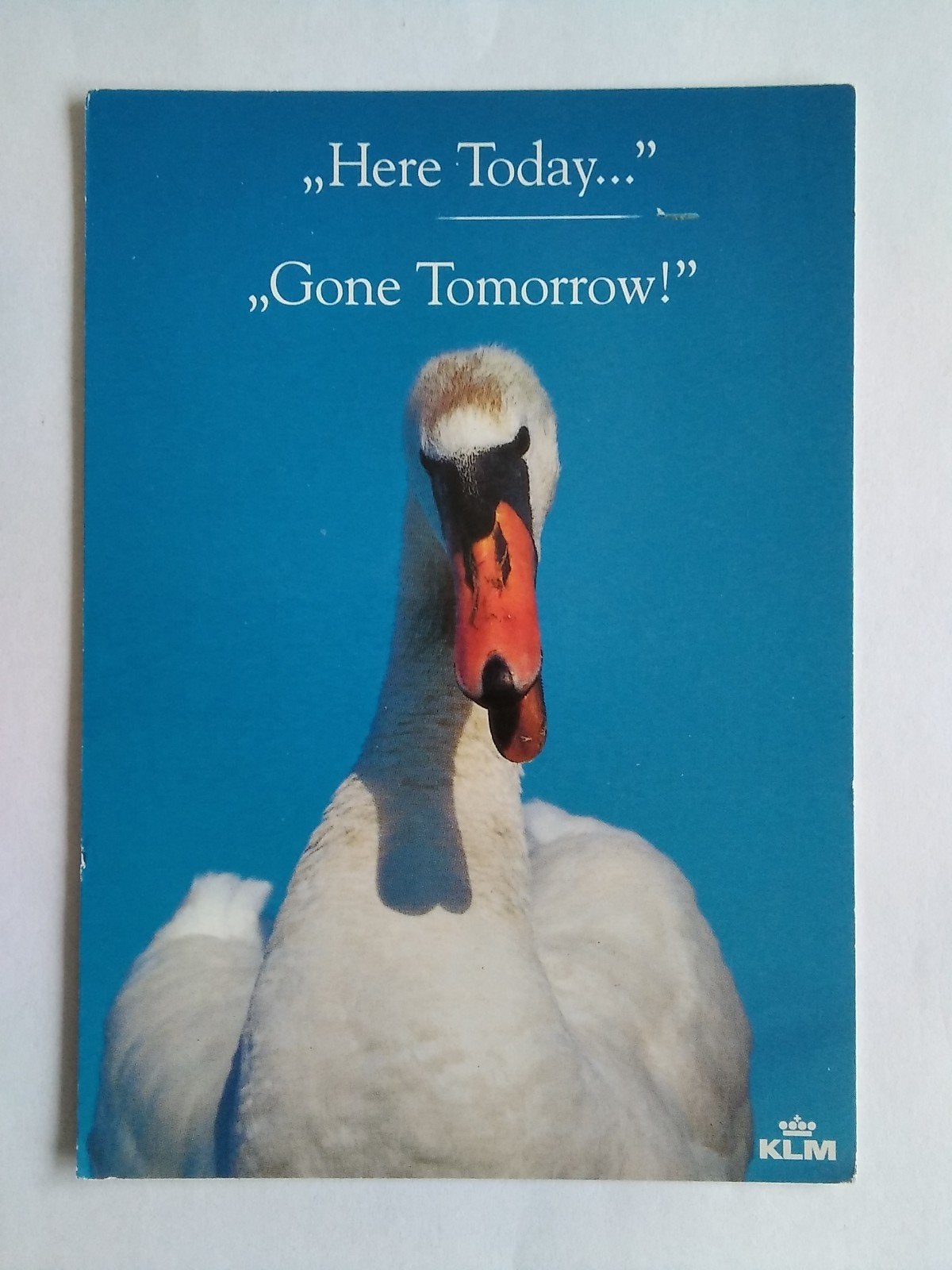 Ansichtkaart KLM Call&Go "Here today... Gone tomorrow!", Verzenden, Kaart, Foto of Prent