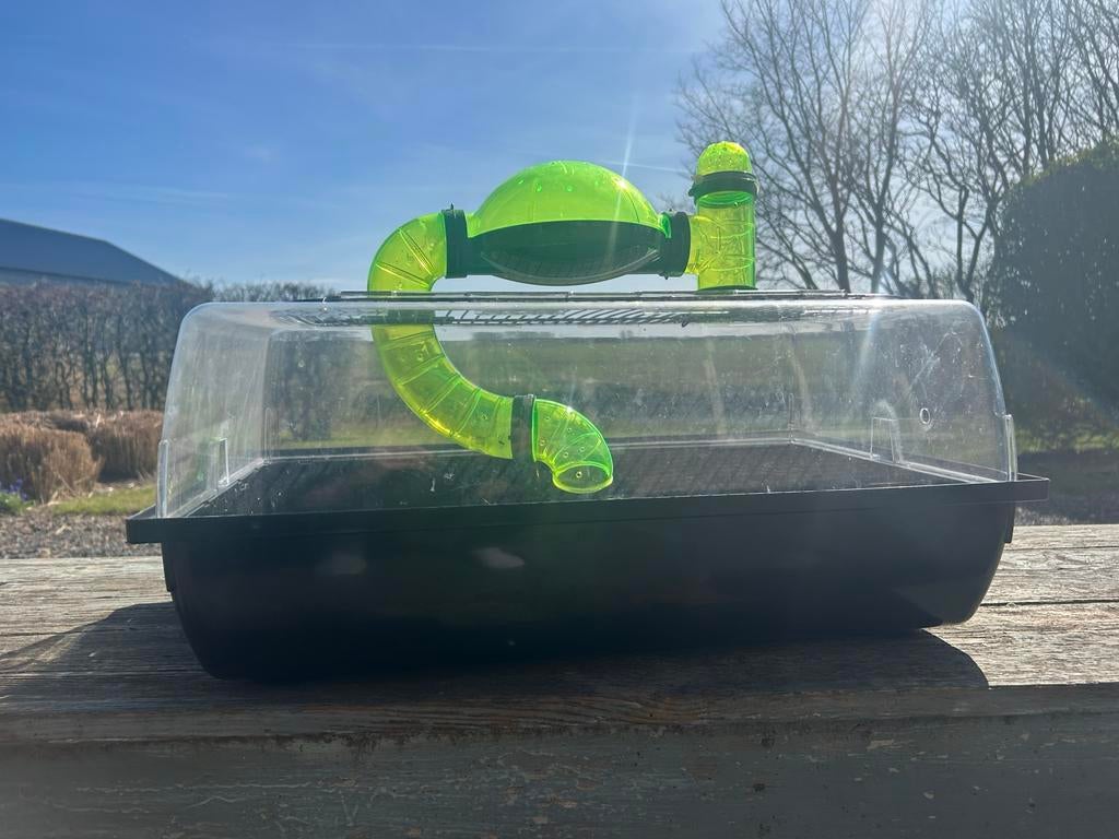 Hamsterkooi met doolhofje, Dieren en Toebehoren, Knaagdieren en Konijnen | Hokken en Kooien, Kooi, Gebruikt, Minder dan 75 cm