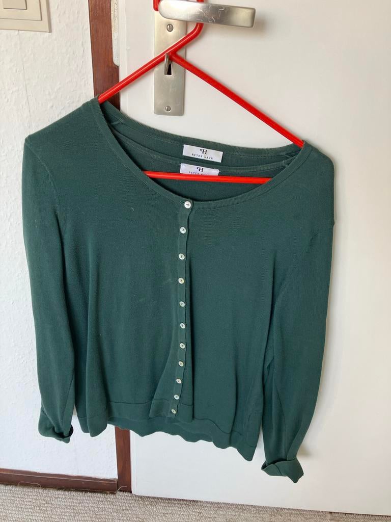 Groen vestje van Peter Hahn, Ophalen, Gedragen, Maat 46/48 (XL) of groter, Groen