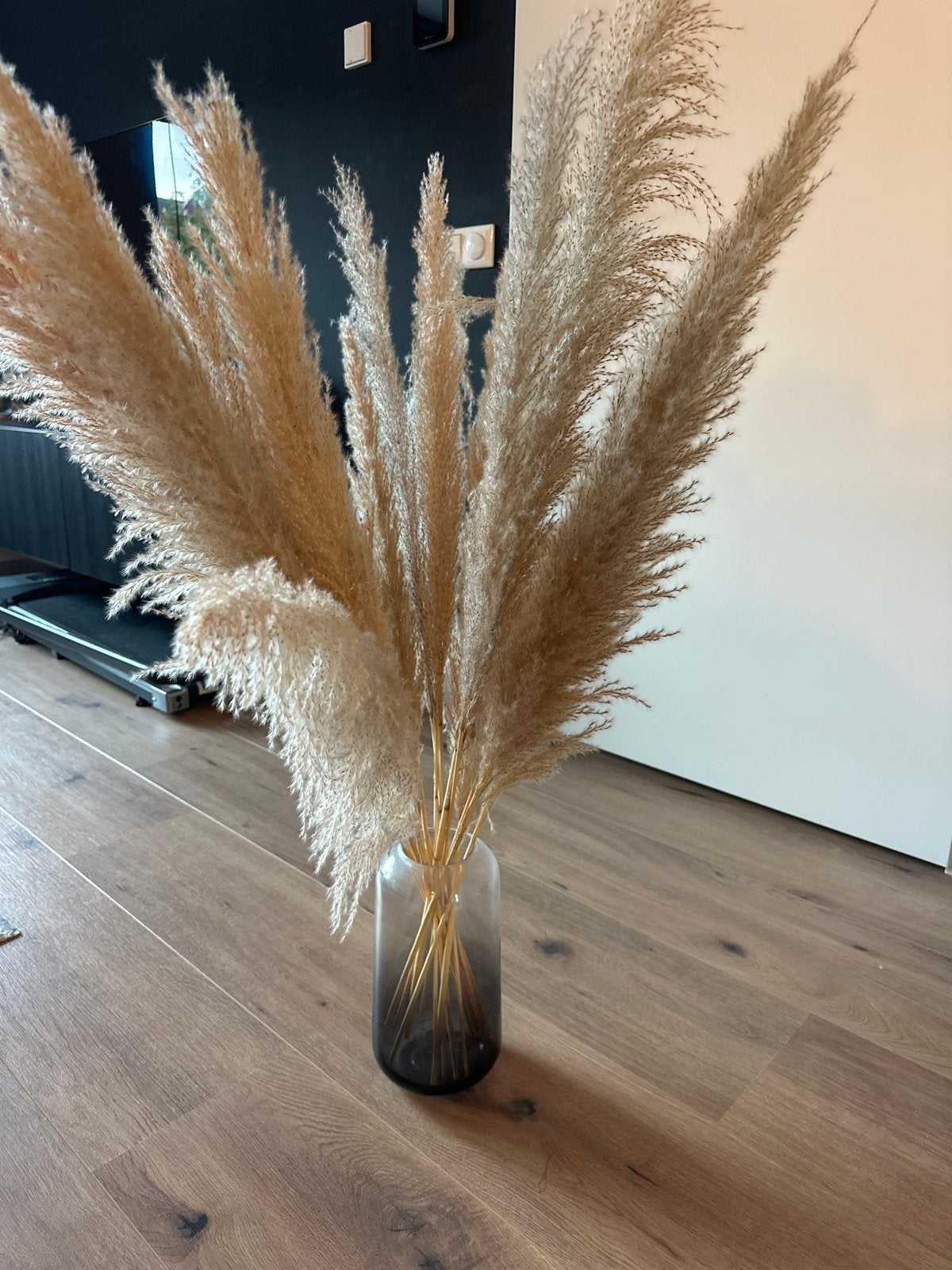 Grote bos pampasgras in vaas, Ophalen, Beige, Zo goed als nieuw, Natuurlijk materiaal