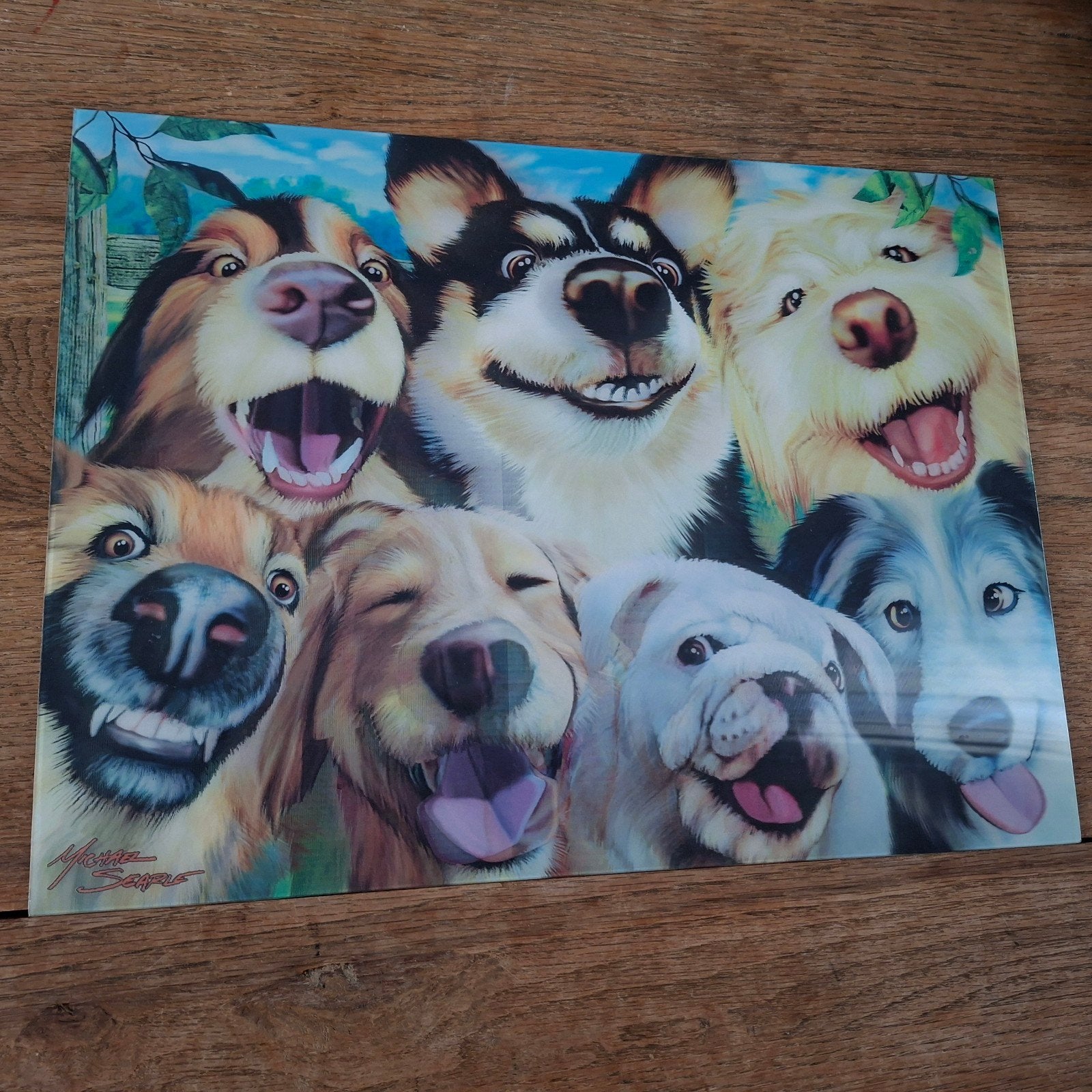 3D LiveLife Poster 30x40 cm - Vrolijke Honden Koppies, Minder dan 50 cm, Ophalen of Verzenden, Zo goed als nieuw, Foto of Poster