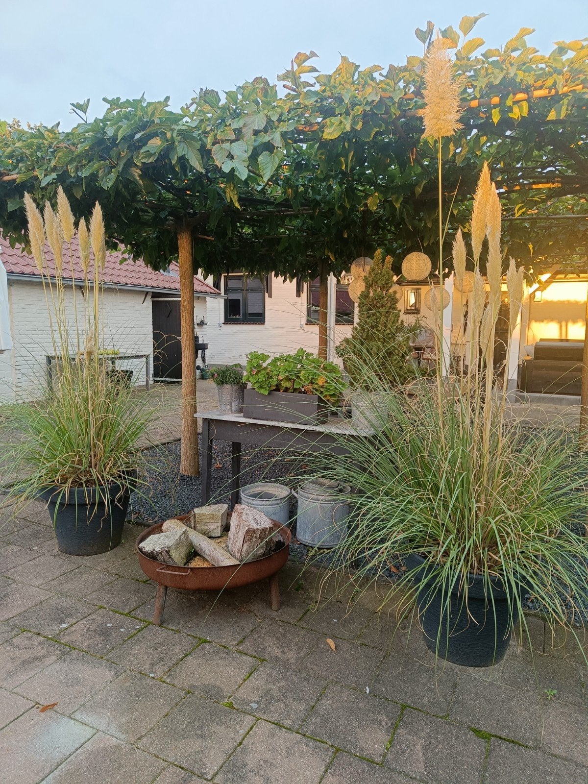 Vuurschaal - Gezelligheid voor uw tuin, Tuin en Terras, Ophalen, Gebruikt