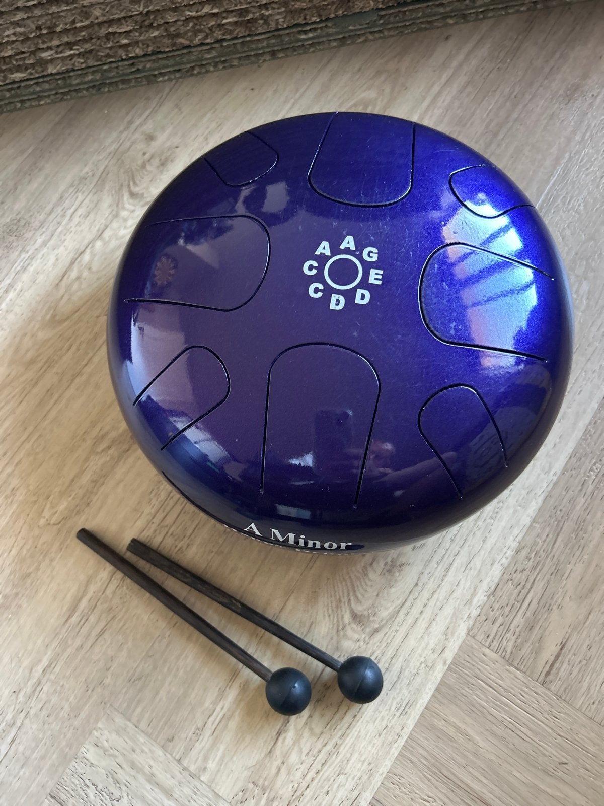 Paarse Tongue Drum A Minor met stokken en tas, Muziek en Instrumenten, Ophalen of Verzenden, Nieuw, Melodische percussie