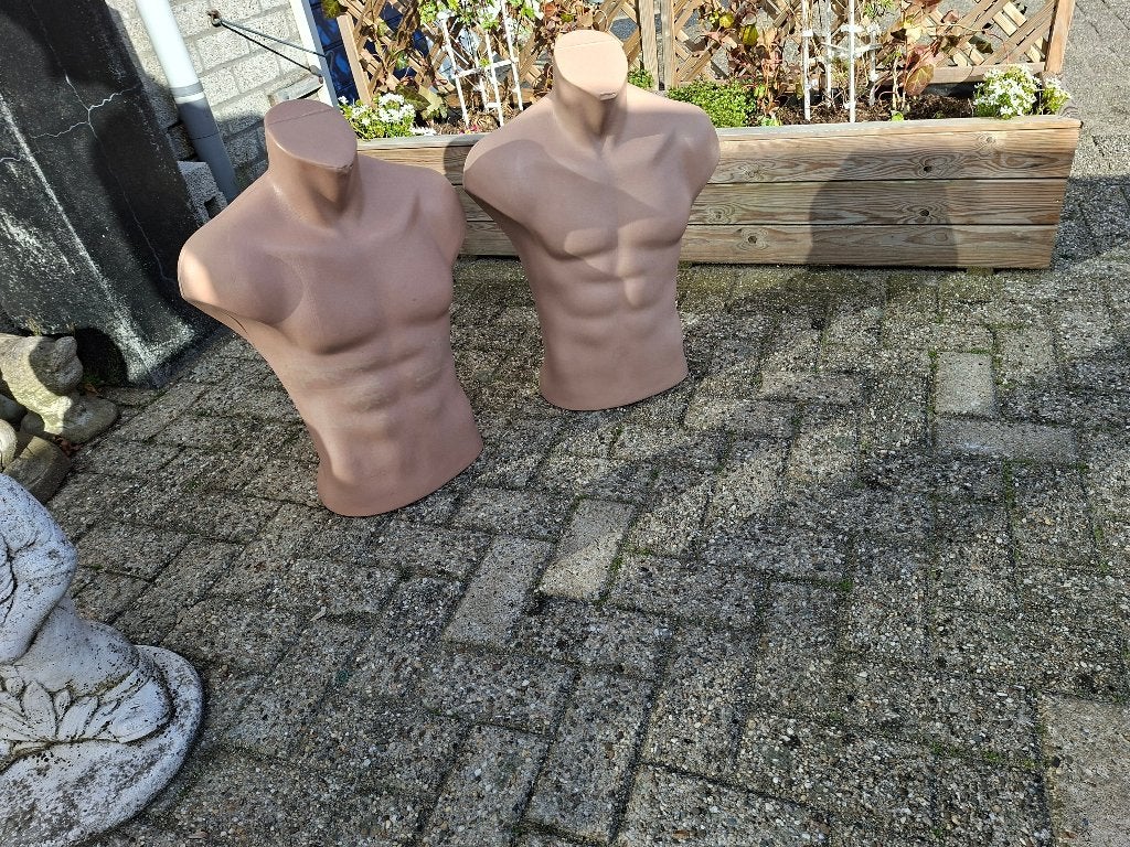 2 mooie nette mannen torso beelden, Ophalen, Beeld