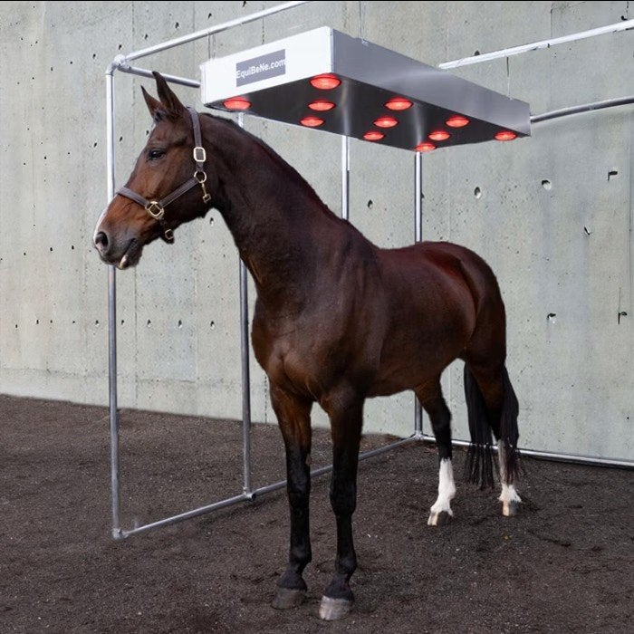 Paarden Solarium s11 infrarood warmte, Dieren en Toebehoren, Ophalen of Verzenden, Nieuw