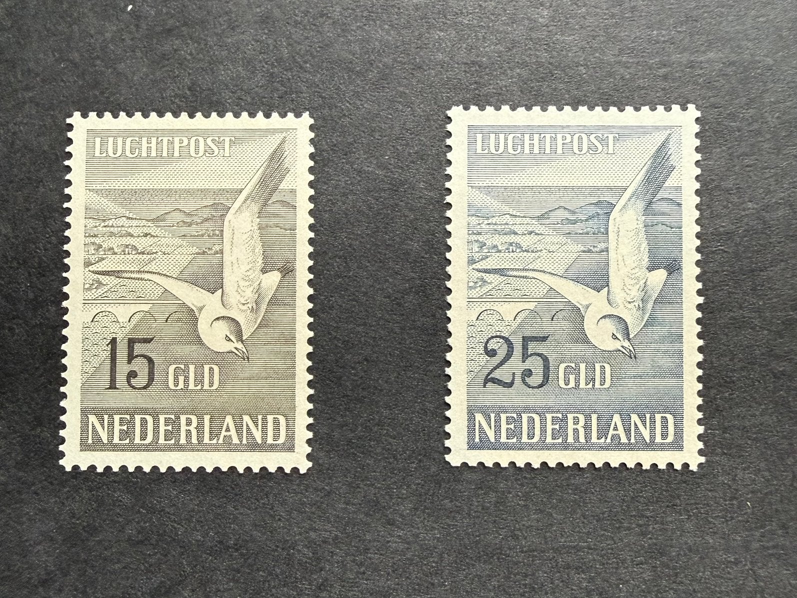 Nederland LP12/13 postfris met originele gom, Ophalen of Verzenden, Na 1940, Postfris