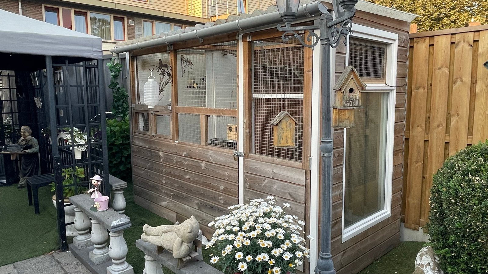 Voliere te koop wanwege gezondheid, Ophalen, Gebruikt, Hout, Volière