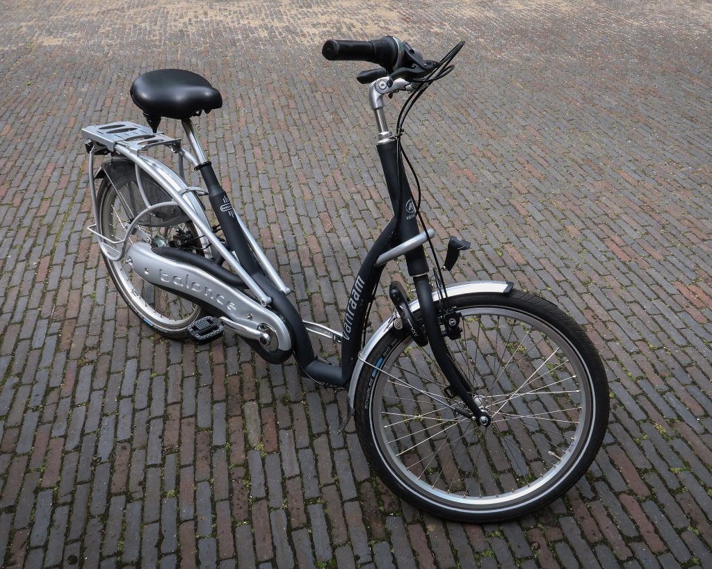 Mooie Van Raam fiets met lage instap, Ophalen, Zo goed als nieuw, Van Raam