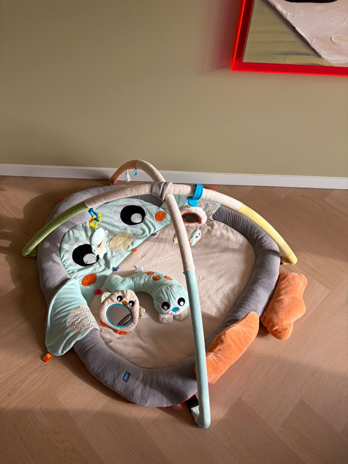 PlayGro Playgro babygym speelkleed, Ophalen of Verzenden, Zo goed als nieuw, Babygym