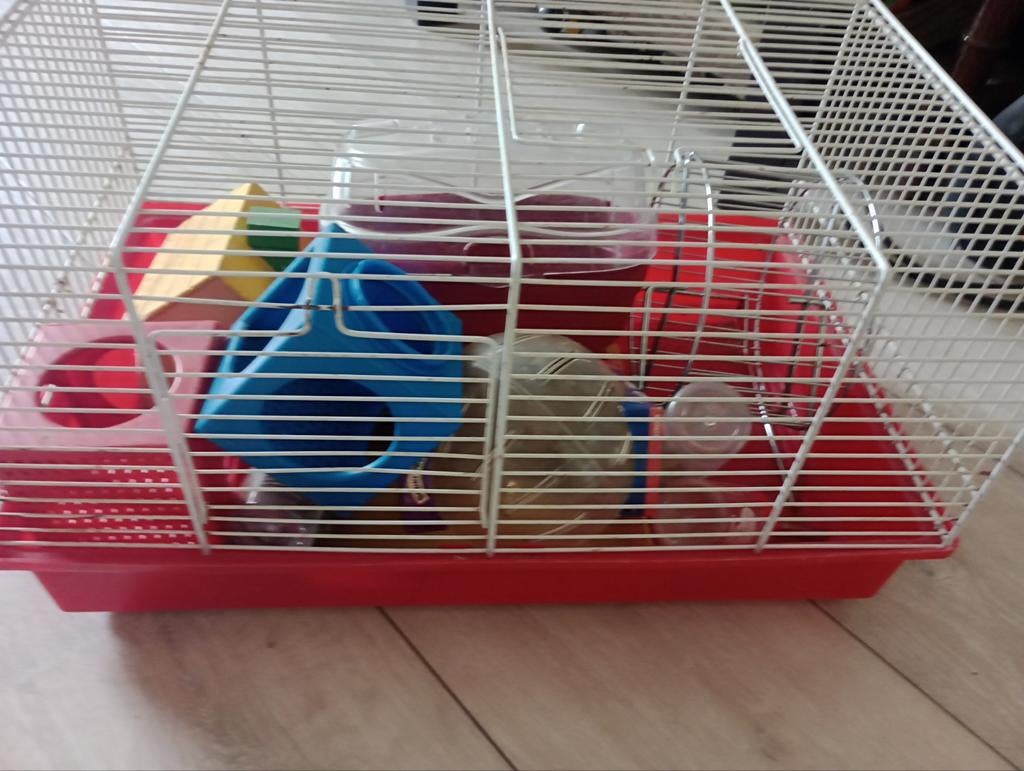 Hamsterkooi, Ophalen, Minder dan 75 cm, Kooi, Minder dan 60 cm