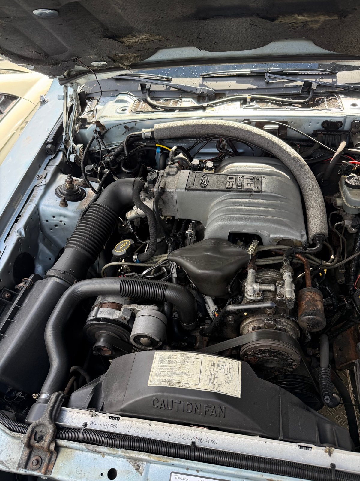 UNIEK PROJECT Mercury Cougar XR7 5.0 V8 EFI 1987, foto 3