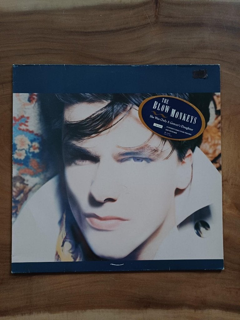 The Blow Monkeys - she was only A Grocer's Daughter - Vinyl, Ophalen of Verzenden, Zo goed als nieuw, 12 inch, Poprock