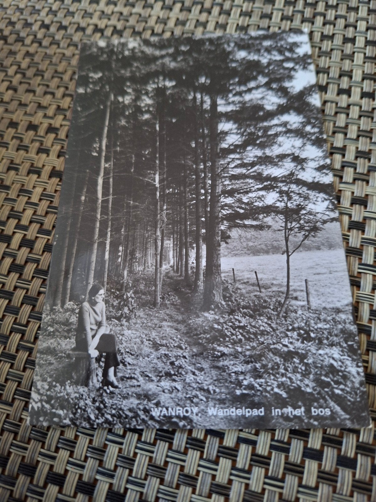 Wanroy - Wandelpad in het bos, Ophalen of Verzenden, 1960 tot 1980, Ongelopen, Noord-Brabant