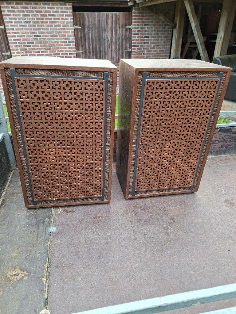 Gitaar speakers 12 inch realistic, Muziek en Instrumenten, Ophalen of Verzenden, Zo goed als nieuw, Gitaar, Minder dan 50 watt