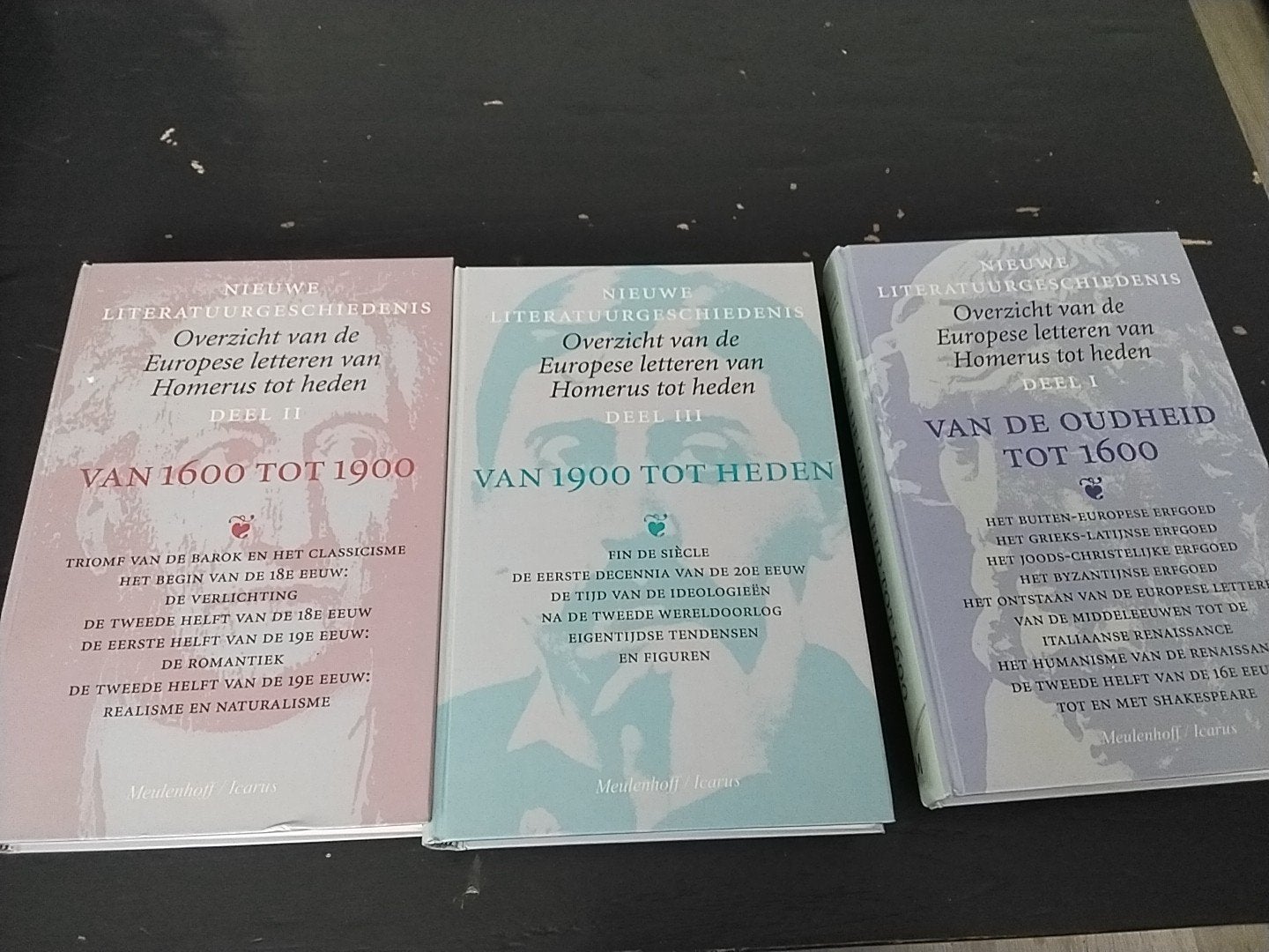 Nieuwe Literatuurgeschiedenis - Overzicht Europese letteren, Europa, Ophalen of Verzenden, Zo goed als nieuw, Meulenhoff/Icarus (uitgever)
