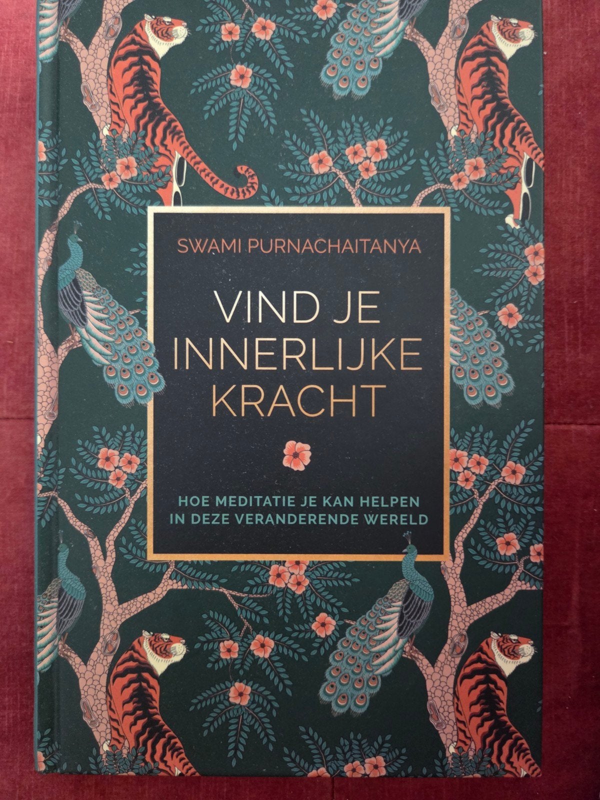 Vind je Innerlijke Kracht - Meditatiegids, Boeken, Meditatie of Yoga, Ophalen of Verzenden, Zo goed als nieuw, Swami Purnachaitanya