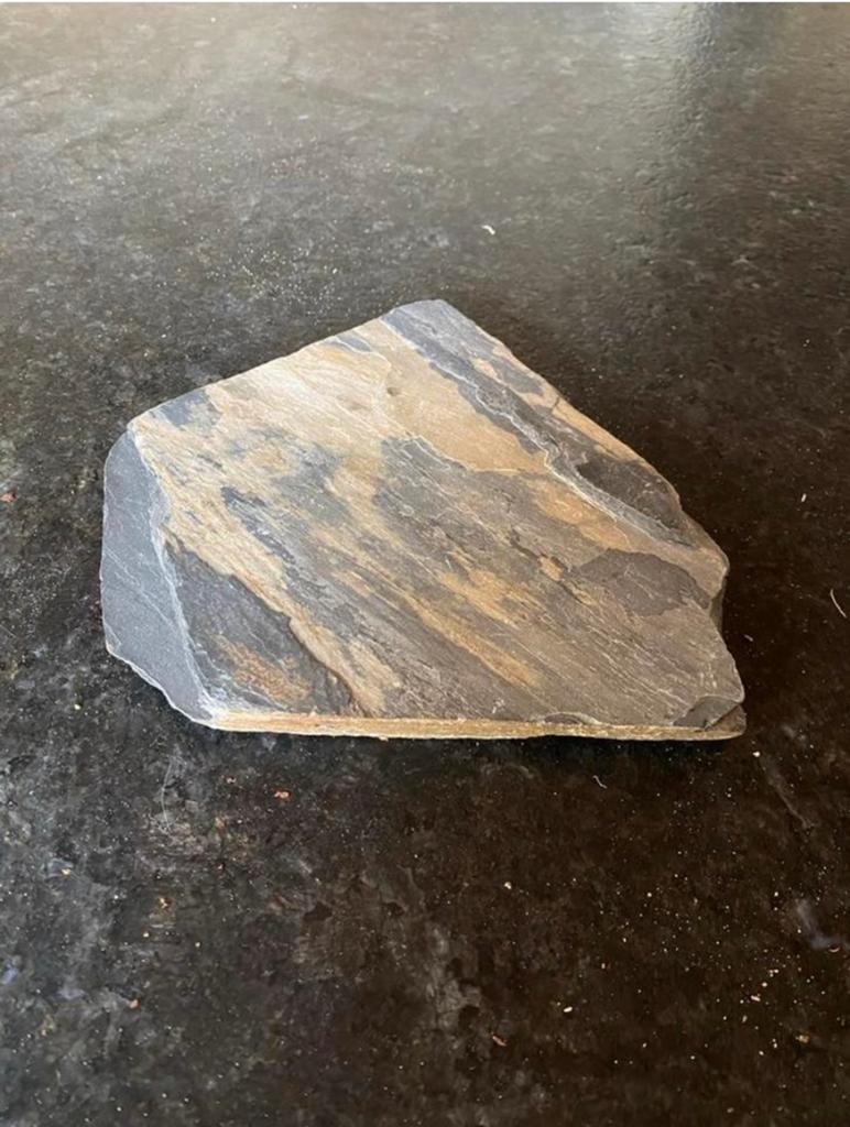 Leisteen voor reptielen of knaagdierverblijf 21x18 cm, Dieren en Toebehoren, Reptielen en Amfibieën | Toebehoren, Ophalen of Verzenden