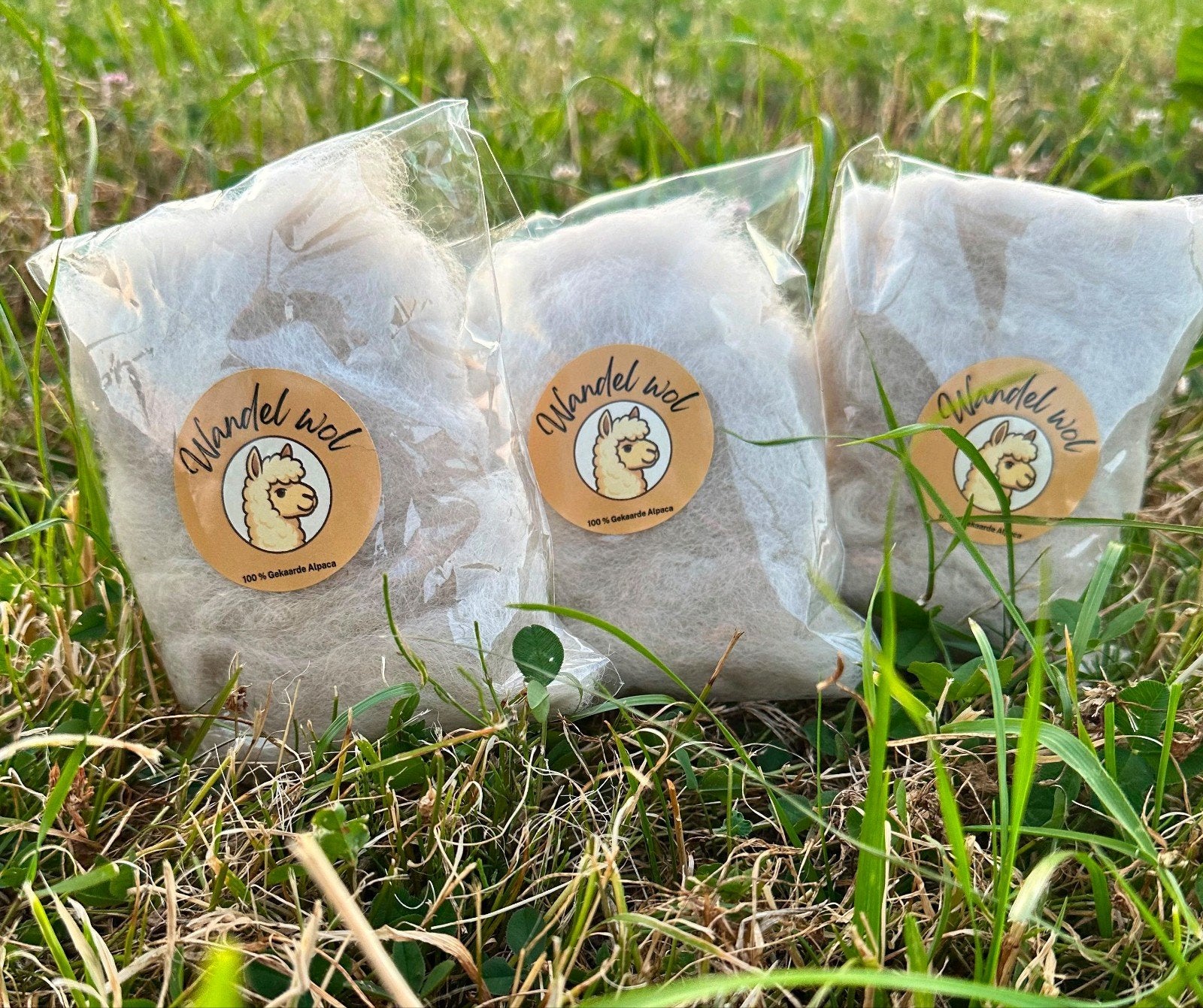 Super zachte wandelwol (alpaca), Dieren en Toebehoren, Dierenvoeding, Ophalen of Verzenden