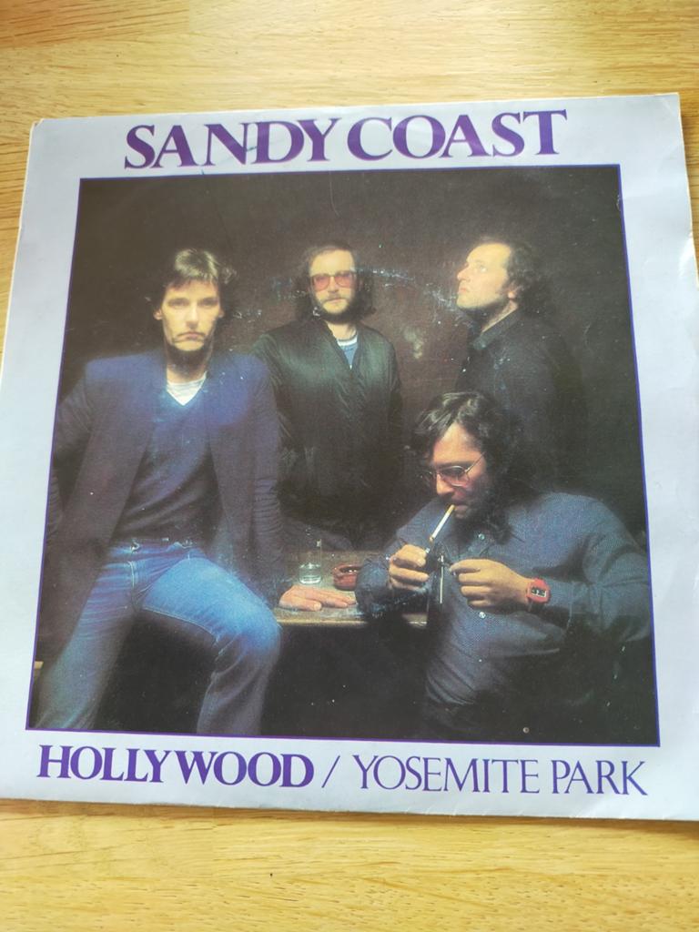 Sandy Coast , Hollywood, Ophalen of Verzenden, Zo goed als nieuw, Pop