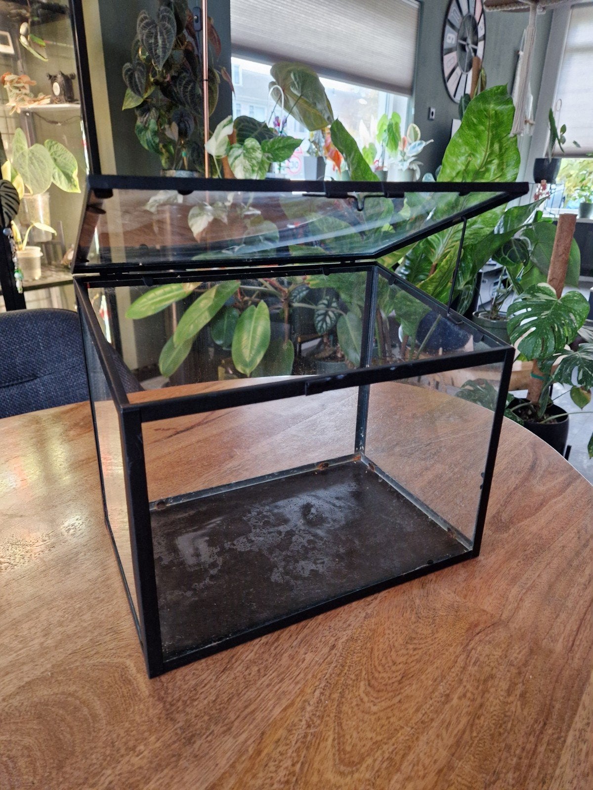 Glazen Kweekkastje/Terrarium voor Planten (25x30x20cm), Tuin en Terras, Ophalen, Gebruikt, Kweekkast