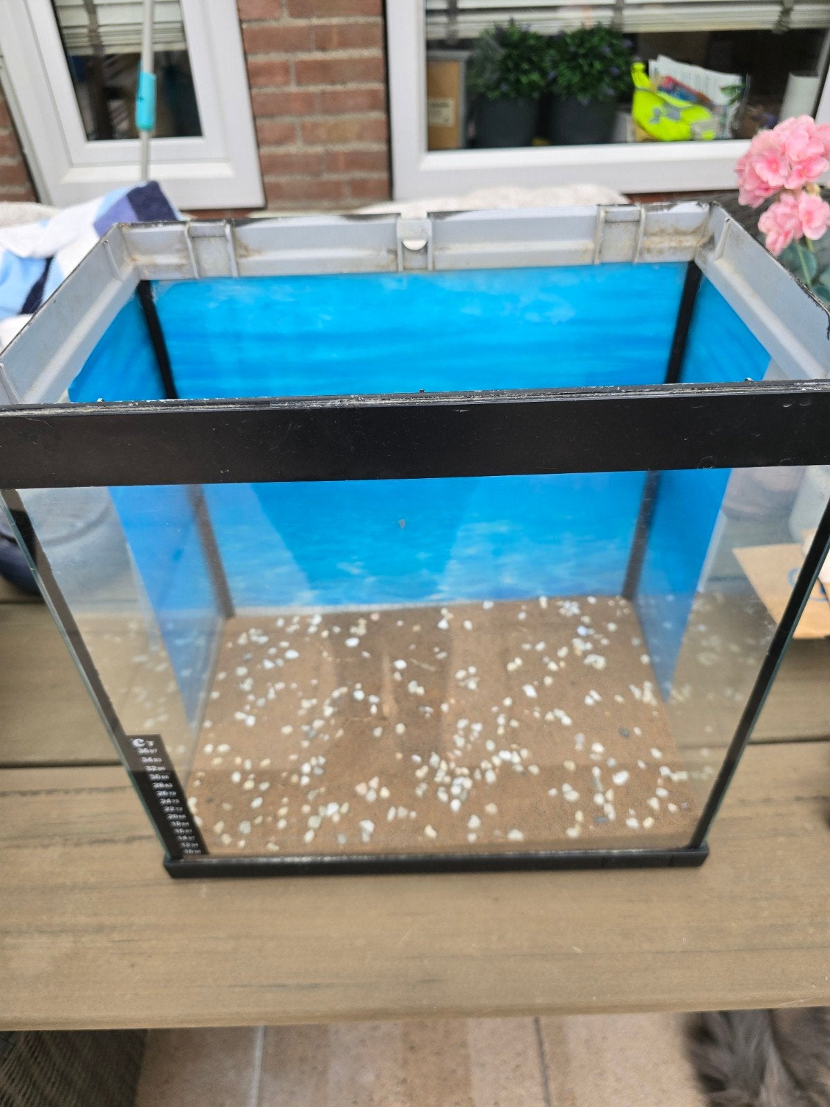 Klein aquarium, Dieren en Toebehoren, Ophalen, Gebruikt, Leeg aquarium