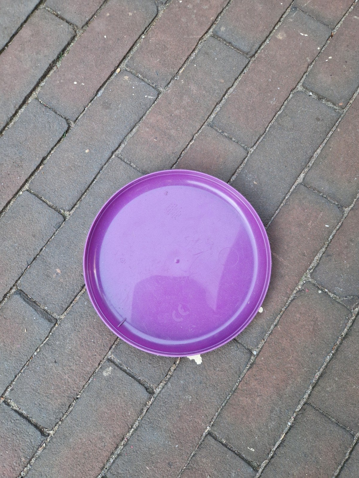 FRISBEE, Ophalen of Verzenden