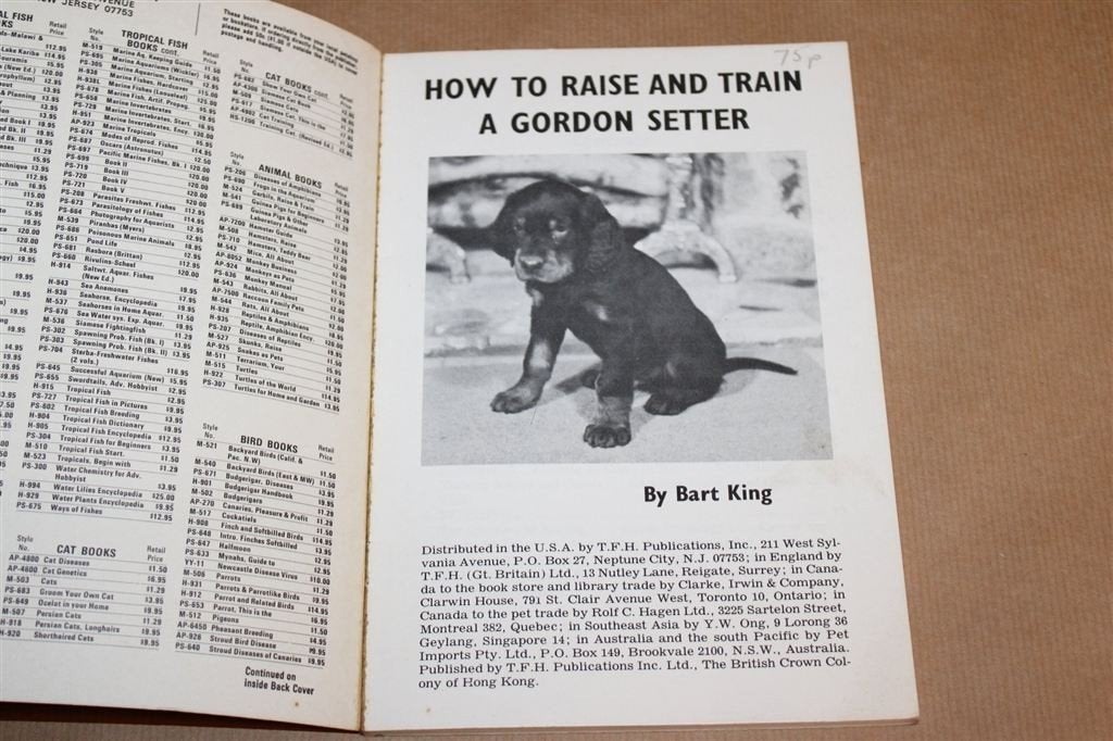 How to Raise a Gordon Setter — Hondenras, Opvoeding 1965, Ophalen of Verzenden, Gelezen, Honden