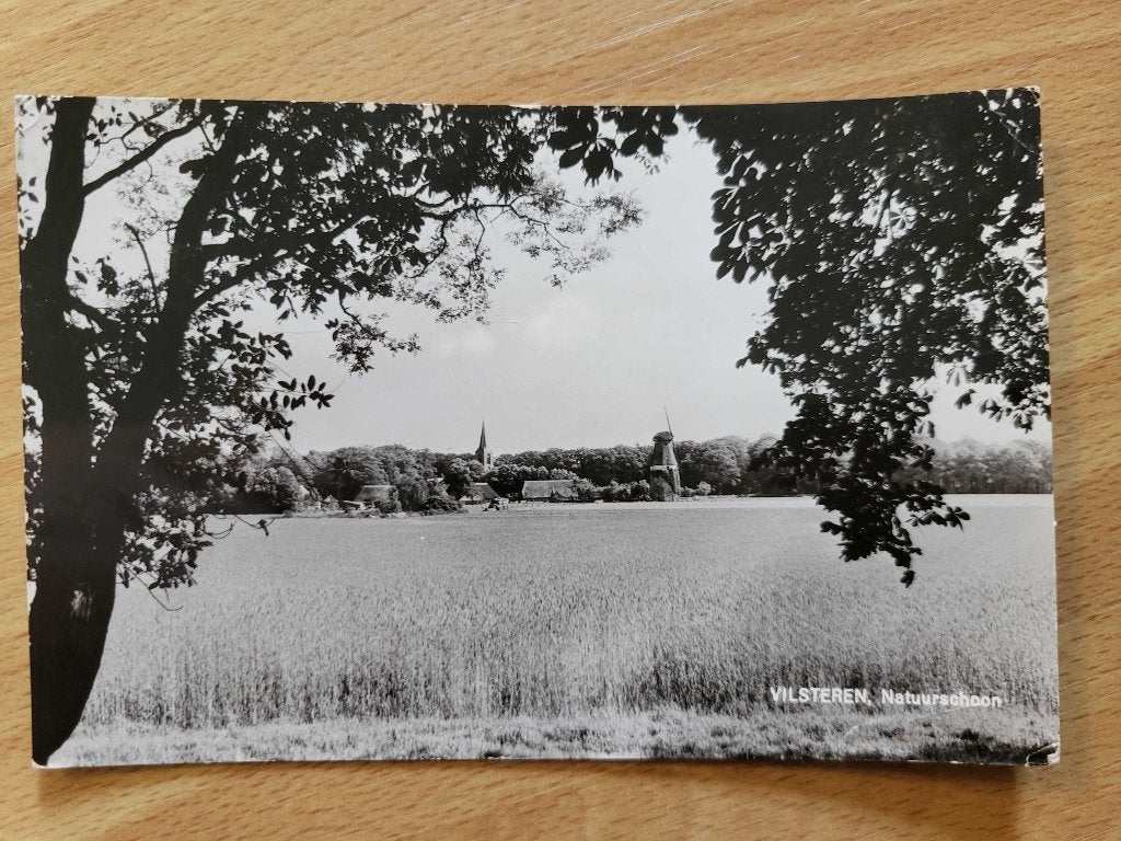 ansicht VILSTEREN natuurschoon panorama, Verzamelen, Ansichtkaarten | Nederland, Overijssel, Voor 1920, Ophalen