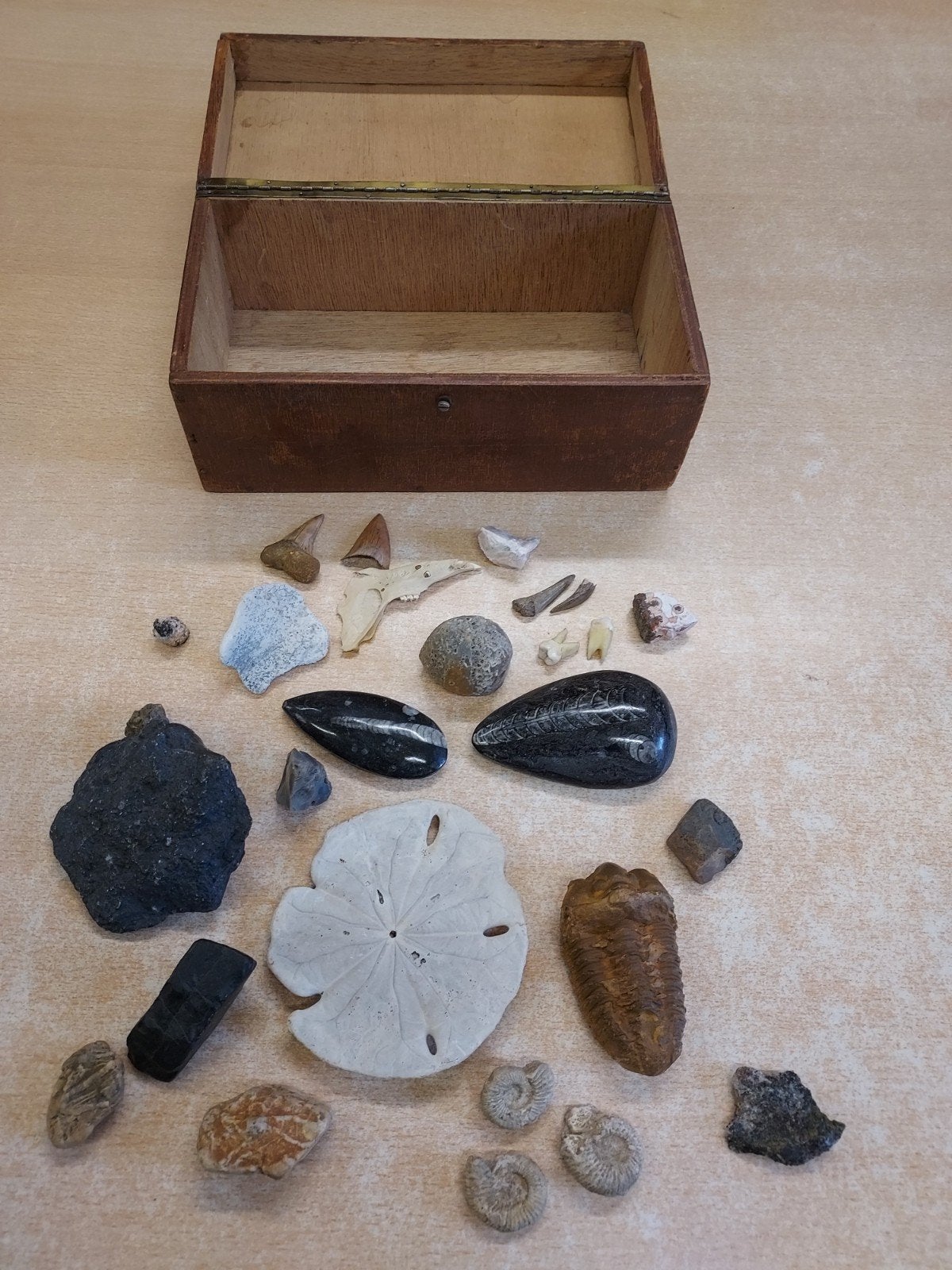 Diverse mineralen stenen en tanden etc., Ophalen of Verzenden, Fossiel