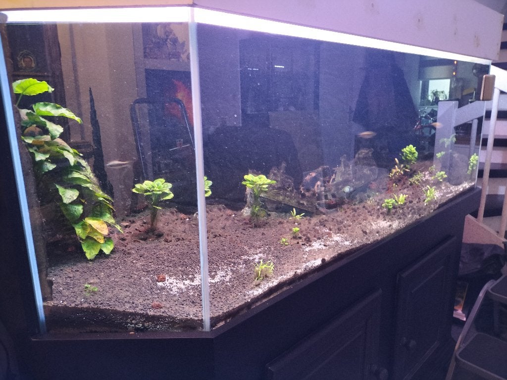 Aquarium te koop, Ophalen, Inclusief deksel, Gebruikt, Overige typen