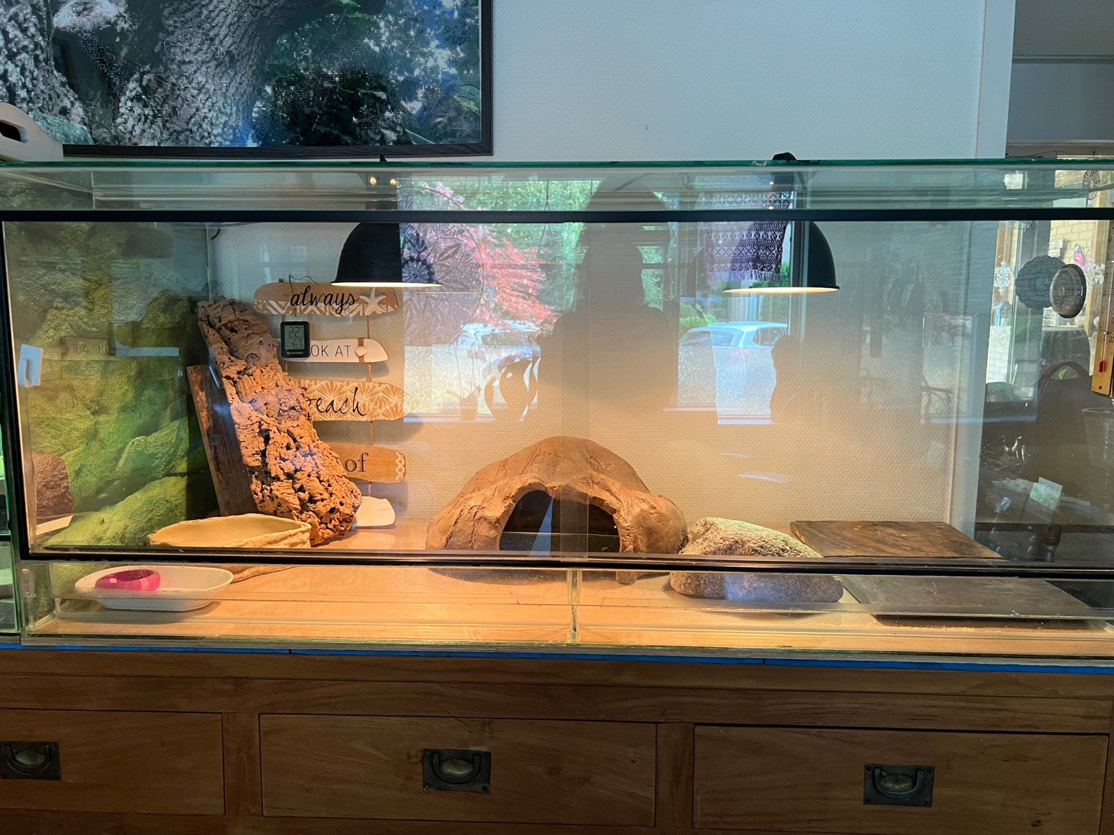 Terrarium 120 x 50 x 50, Dieren en Toebehoren, Reptielen en Amfibieën | Toebehoren, Ophalen, Zo goed als nieuw