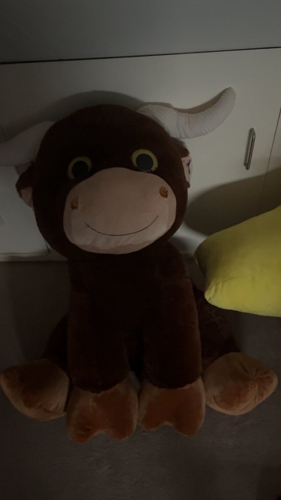 Knuffel, Ophalen, Overige typen, Zo goed als nieuw, Bruin
