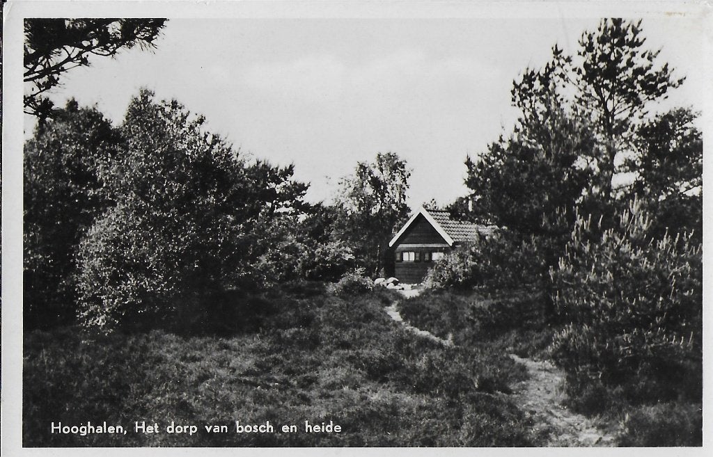 Pa1095 oude gelopen ansichtkaart hooghalen bosch en heide, Ophalen of Verzenden, 1980 tot heden, Gelopen, Utrecht