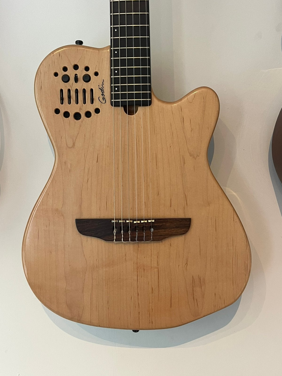 Godin Multiac ACS SA Nylom ACS-SA Heel Mooi, Ophalen, Zo goed als nieuw, Solid body, Overige merken