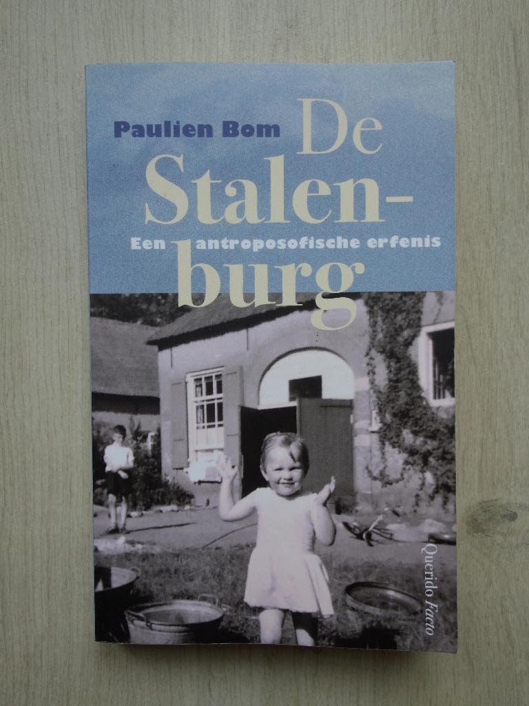 De Stalenburg - Paulien Bom, Boeken, Overige Boeken, Zo goed als nieuw, Ophalen of Verzenden