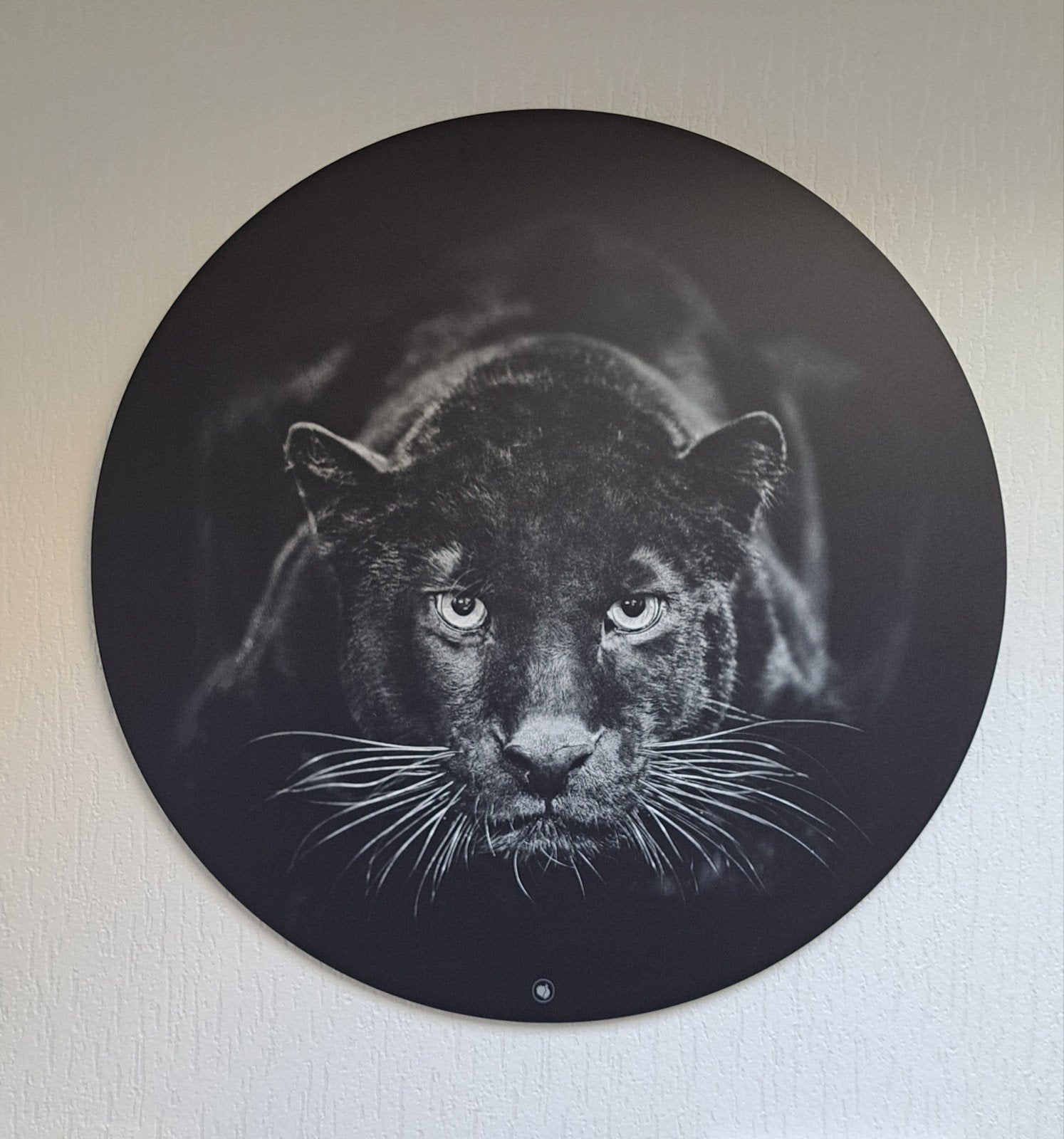 zwarte panter op aluminium., Huis en Inrichting, Ophalen, Zo goed als nieuw, 50 tot 75 cm, 50 – 75