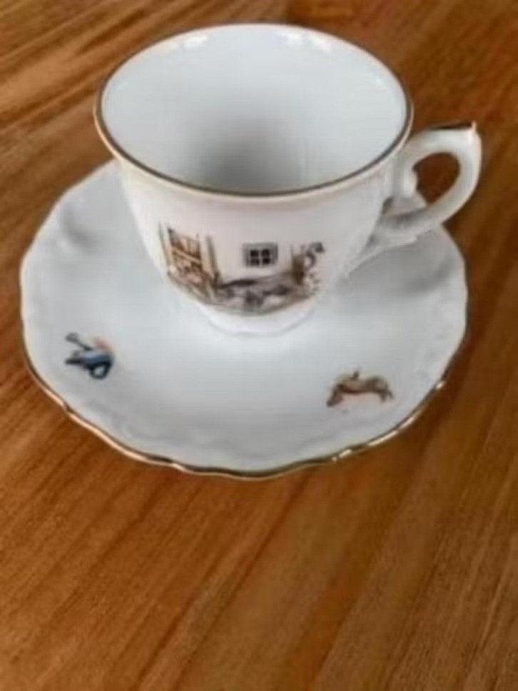 Kop en schotel: ezeltje strekje. Combina servies BAVARIA, Ophalen of Verzenden, Zo goed als nieuw, Porselein, Kop en/of schotel