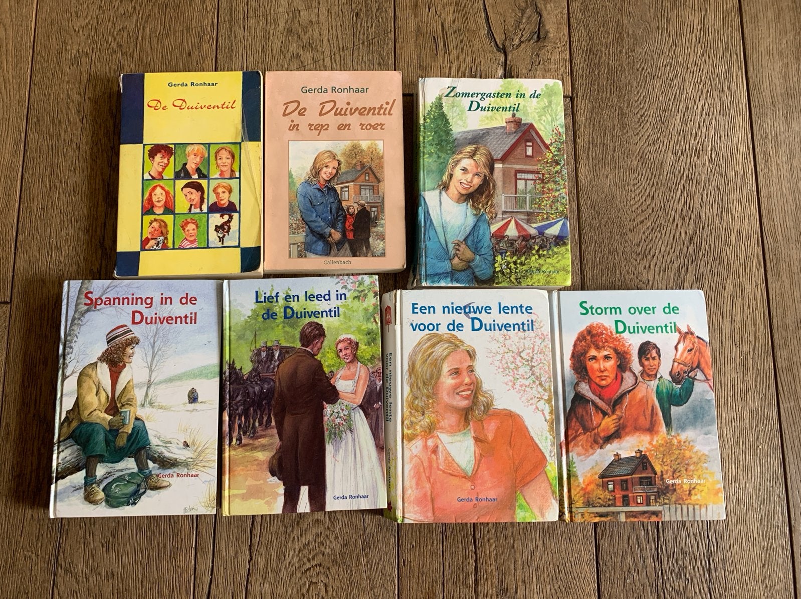 Gerda Ronhaar - De Duiventil serie, Ophalen of Verzenden, Gelezen, Fictie algemeen