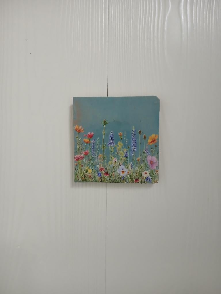 wandtegel 10 x 10 cm., Eigen ontwerp, Wandhanger, Meerkleurig, Nieuw