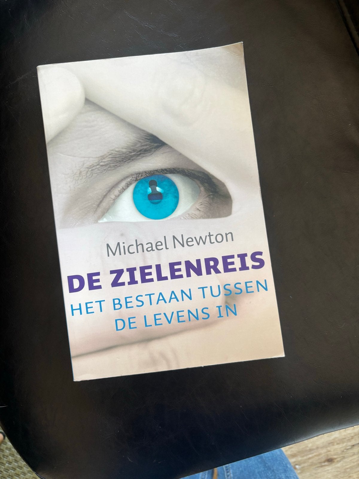 De Zielenreis: Het Bestaan Tussen de Levens In, Verzenden, Gelezen, Ziel of Sterfelijkheid, Achtergrond en Informatie