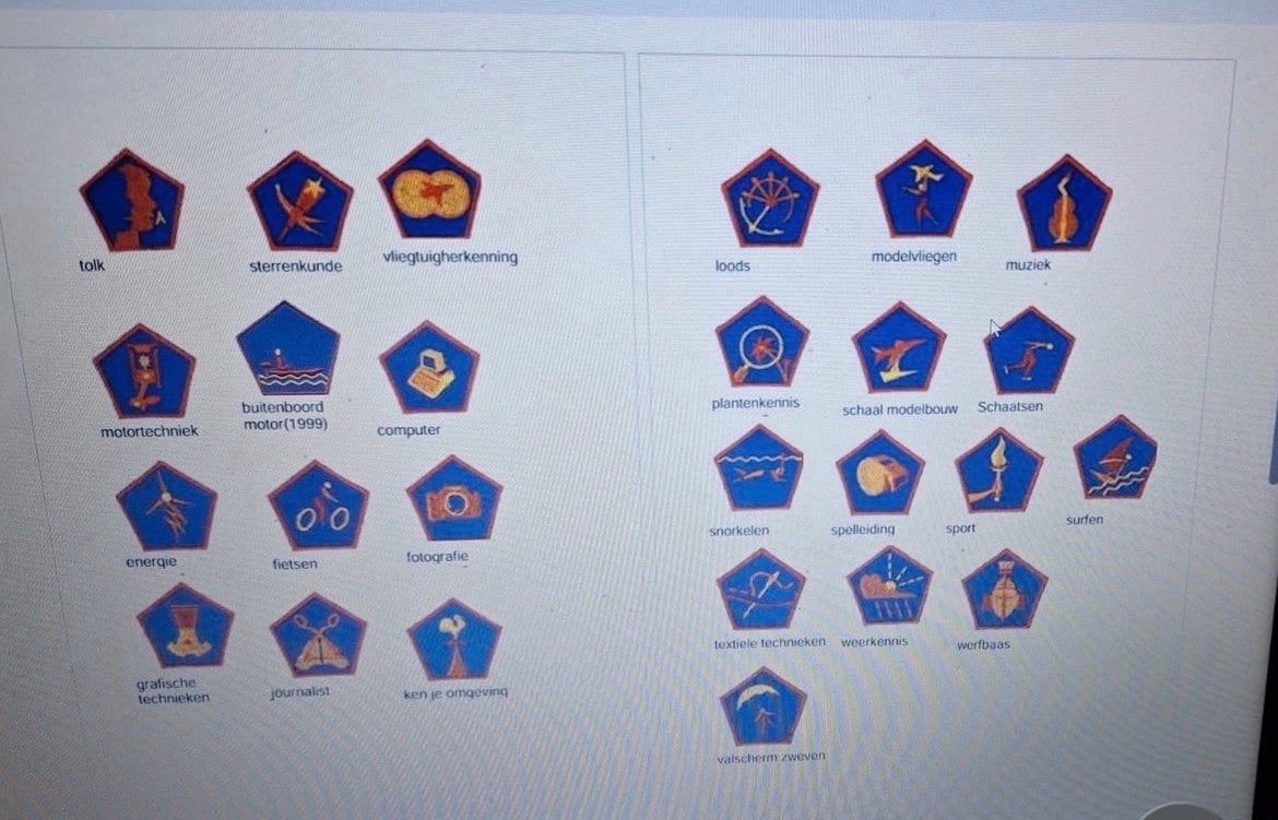 Gezocht, Verzamelen, Scouting, Ophalen of Verzenden, Zo goed als nieuw, Embleem, Speld of Insigne